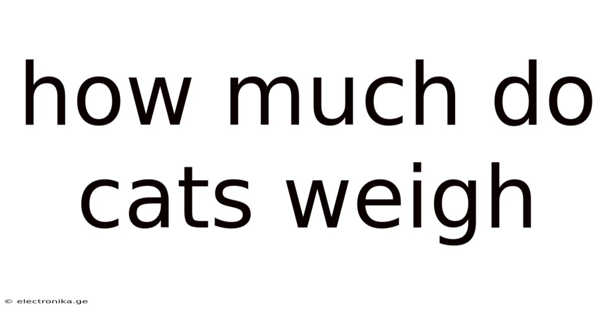 How Much Do Cats Weigh