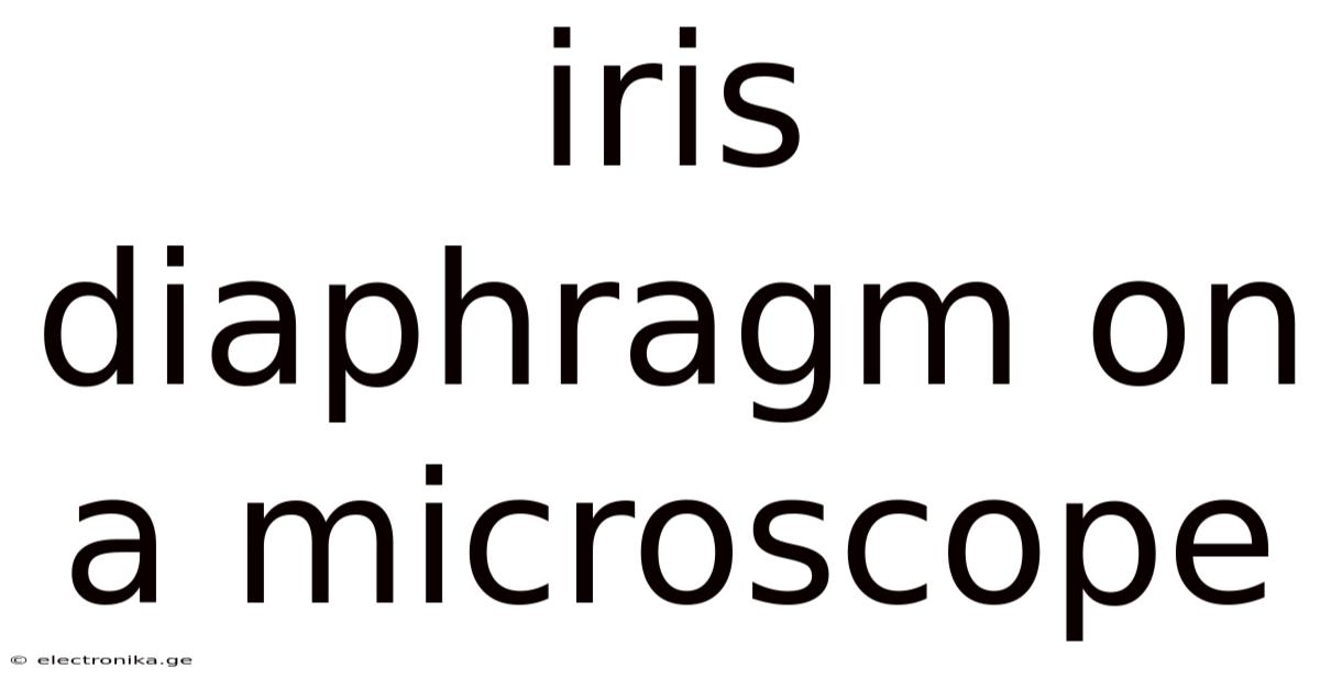 Iris Diaphragm On A Microscope