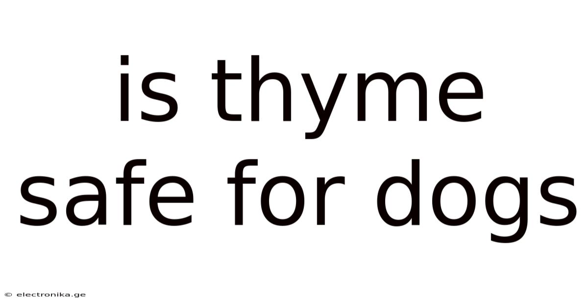 Is Thyme Safe For Dogs