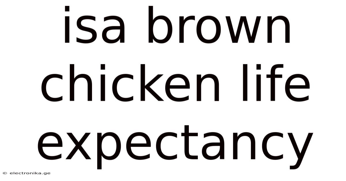 Isa Brown Chicken Life Expectancy