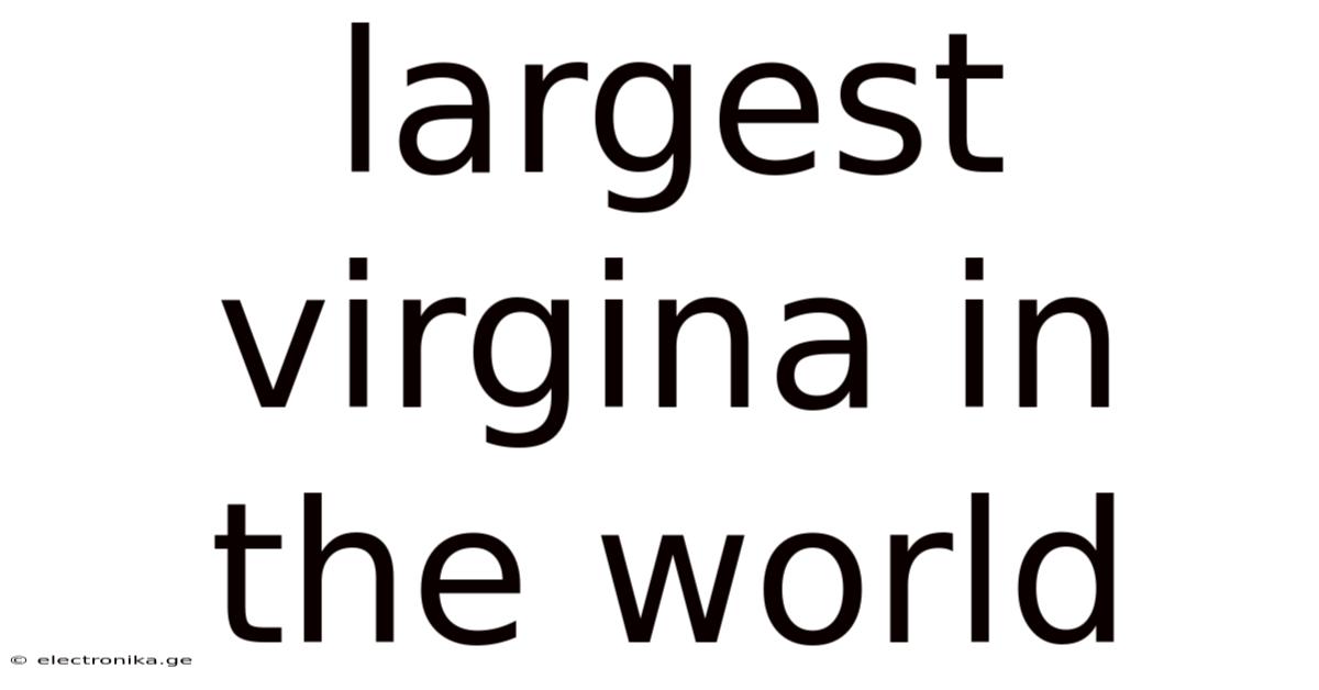 Largest Virgina In The World