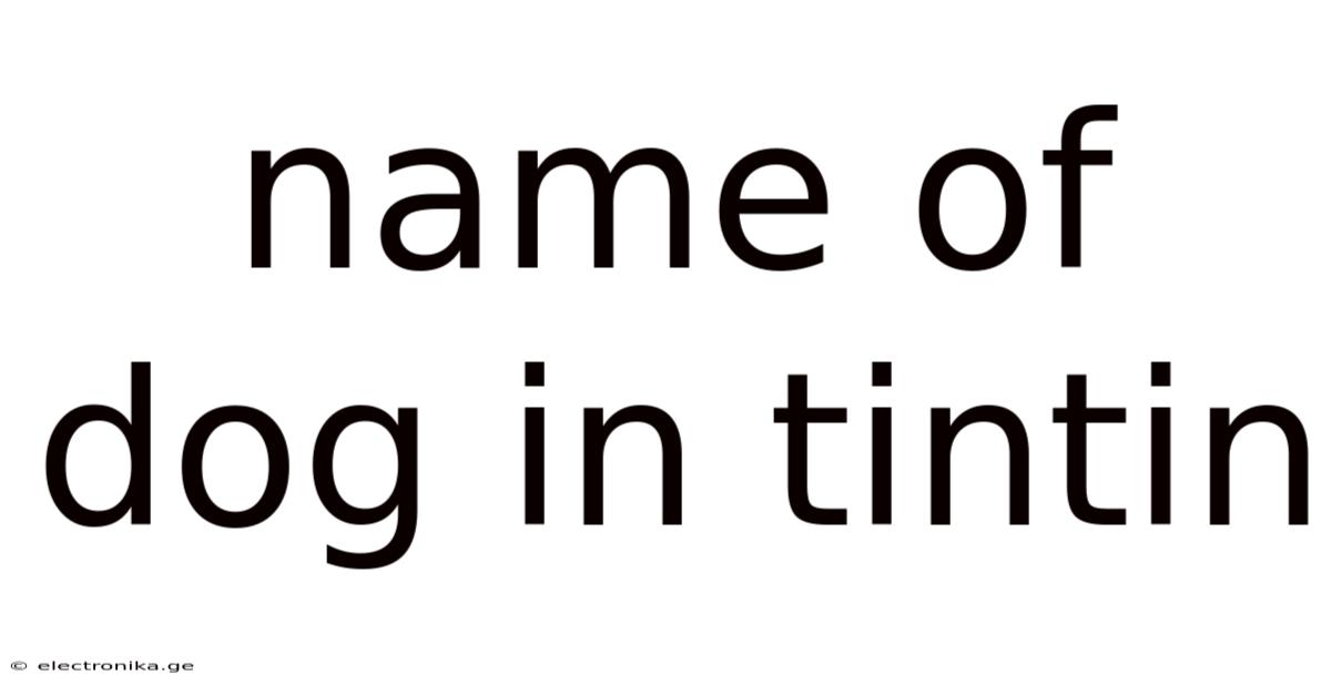 Name Of Dog In Tintin