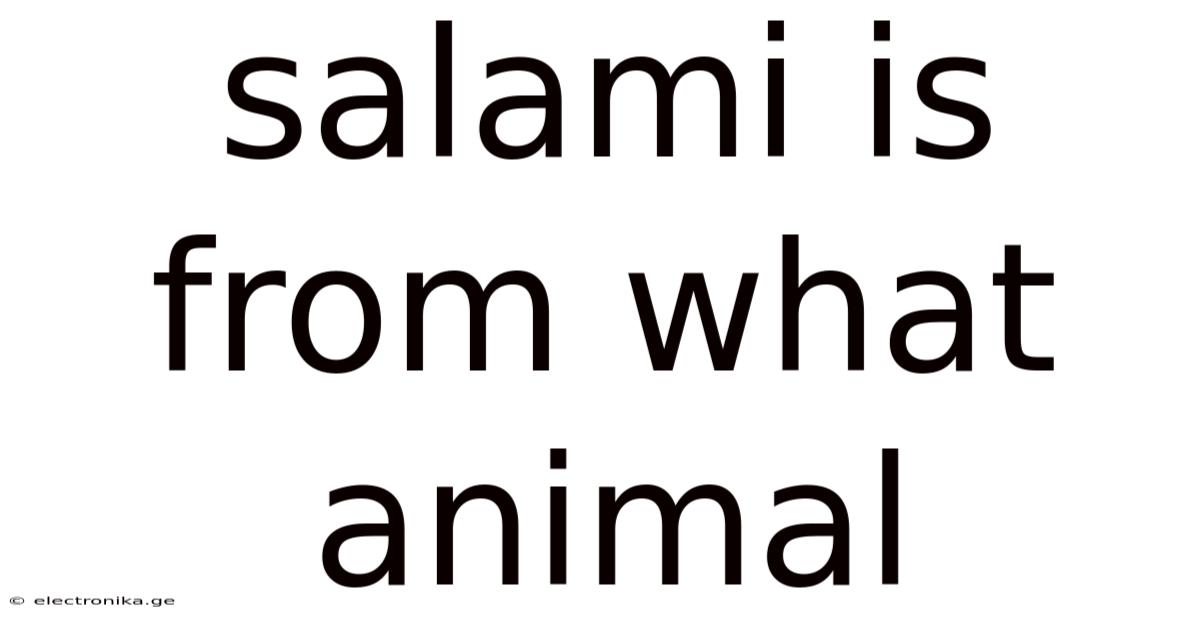 Salami Is From What Animal
