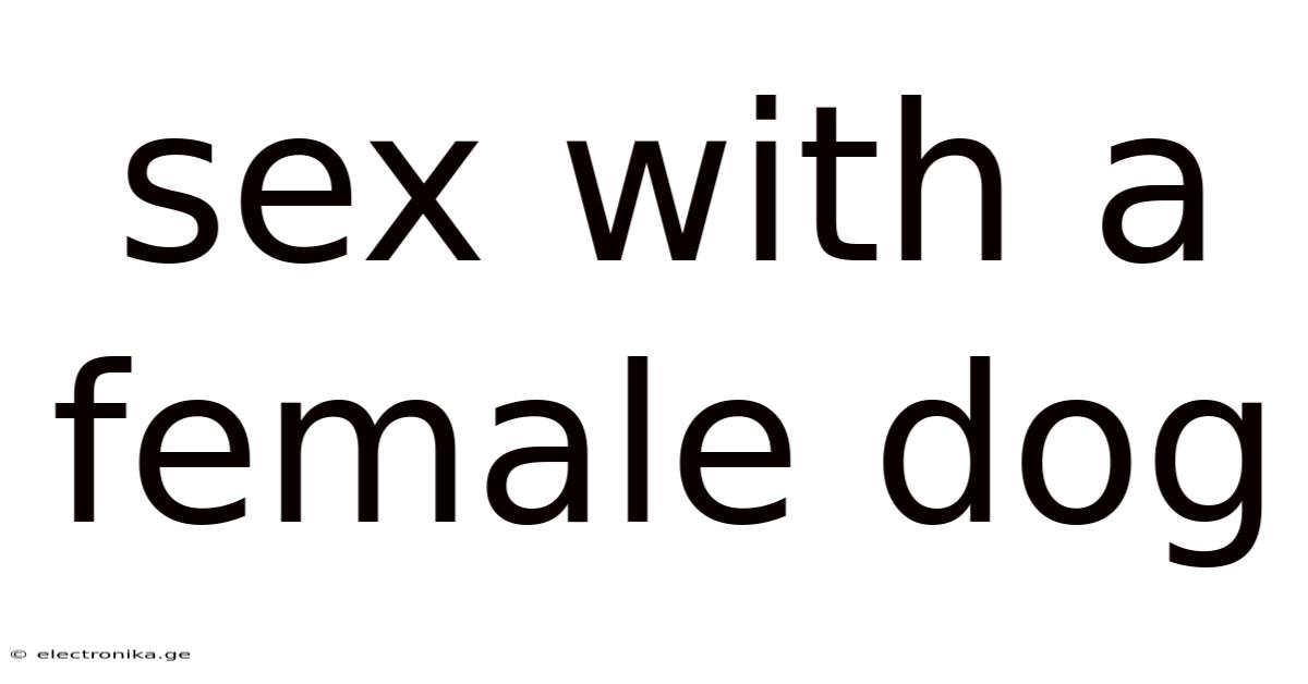 Sex With A Female Dog