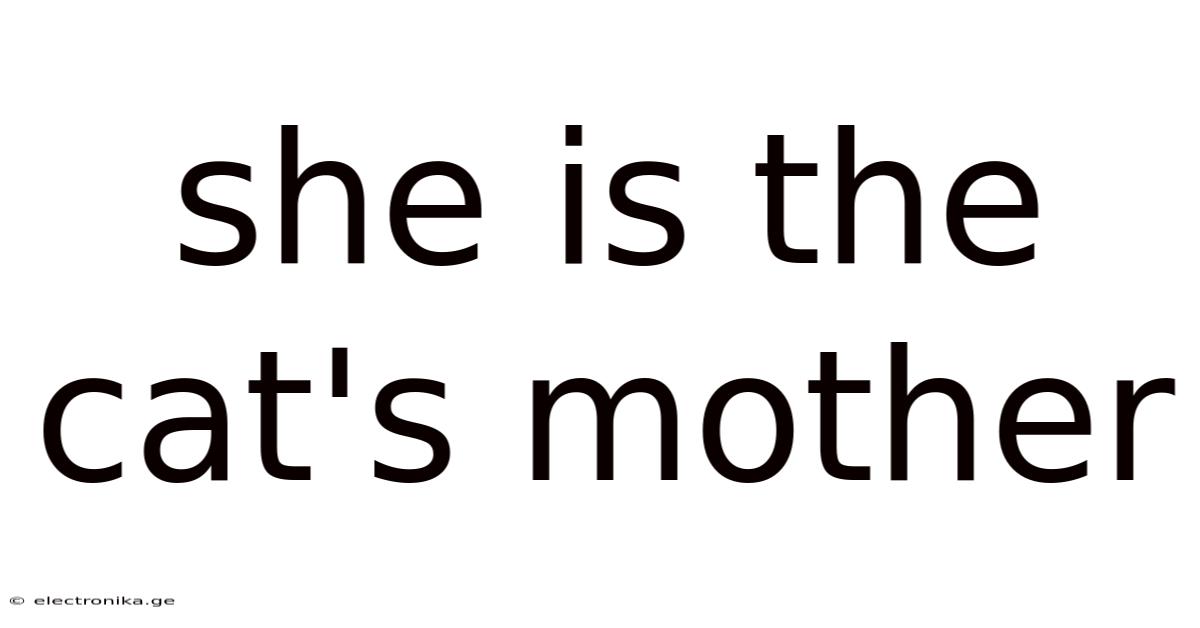 She Is The Cat's Mother