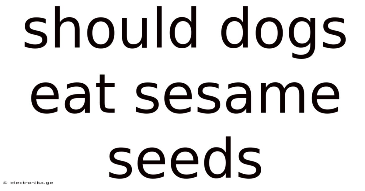 Should Dogs Eat Sesame Seeds