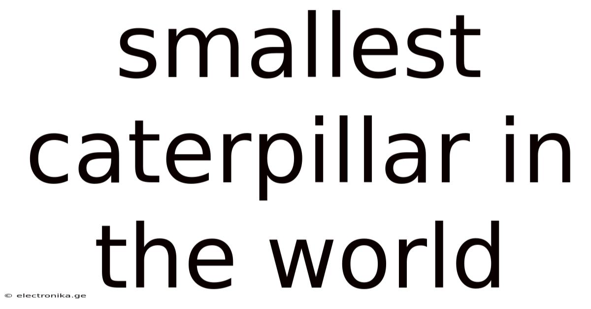 Smallest Caterpillar In The World