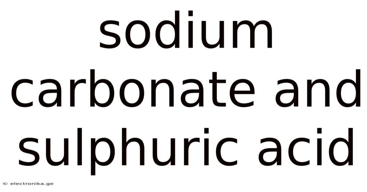 Sodium Carbonate And Sulphuric Acid