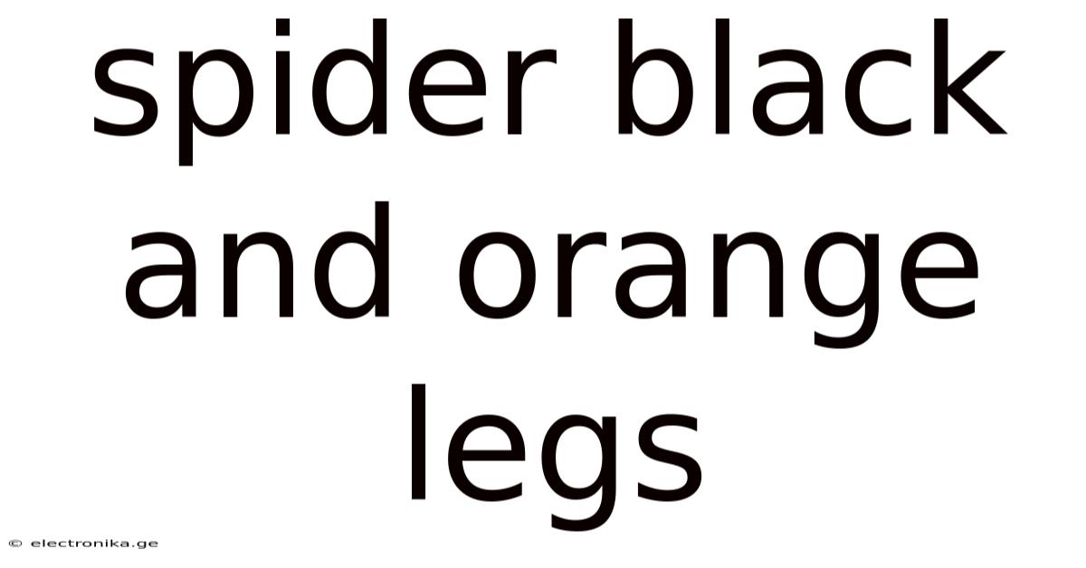 Spider Black And Orange Legs