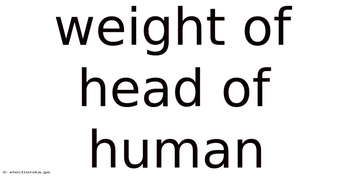 Weight Of Head Of Human