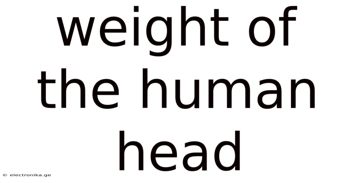 Weight Of The Human Head