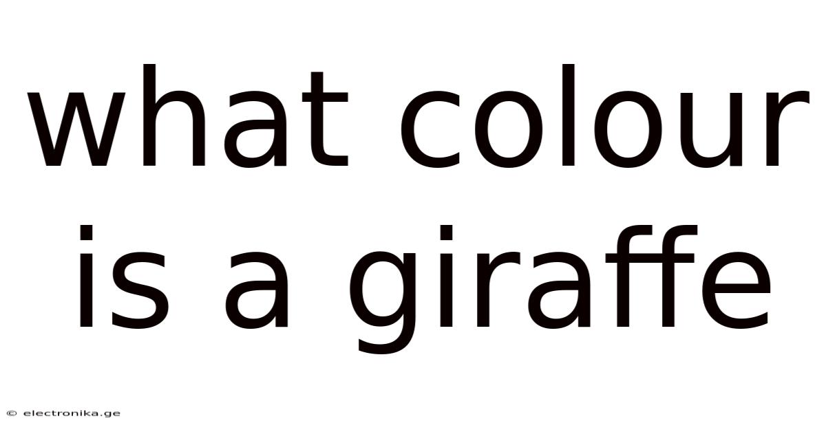 What Colour Is A Giraffe