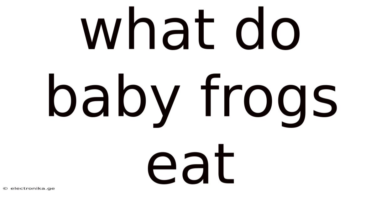 What Do Baby Frogs Eat