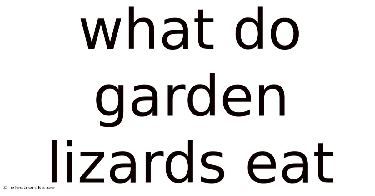 What Do Garden Lizards Eat