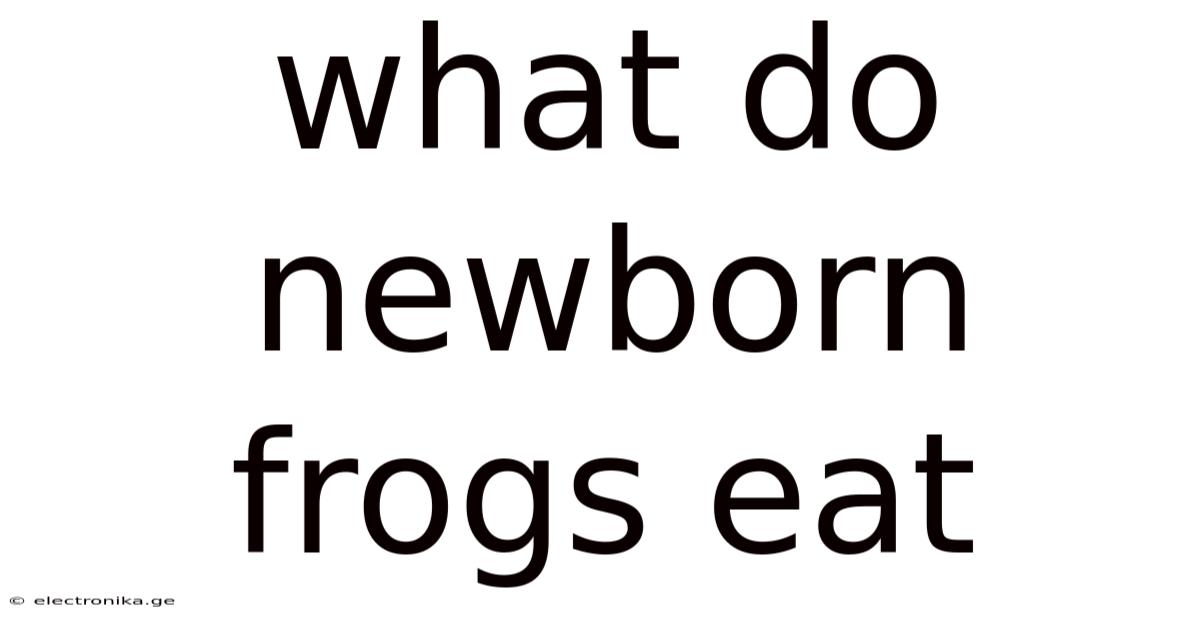 What Do Newborn Frogs Eat