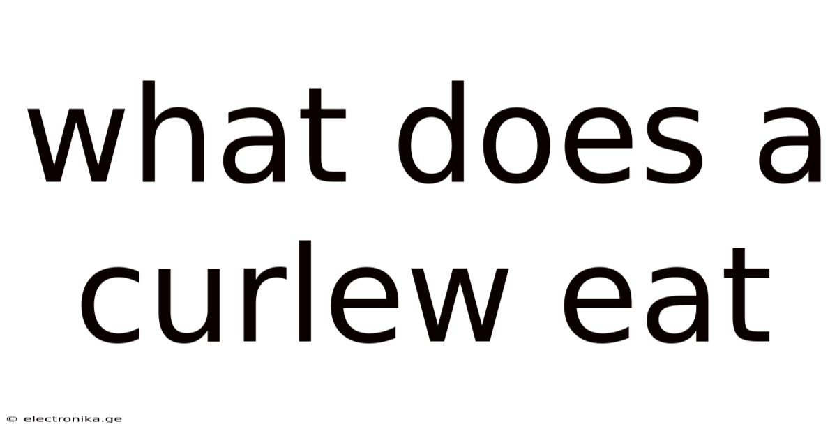 What Does A Curlew Eat