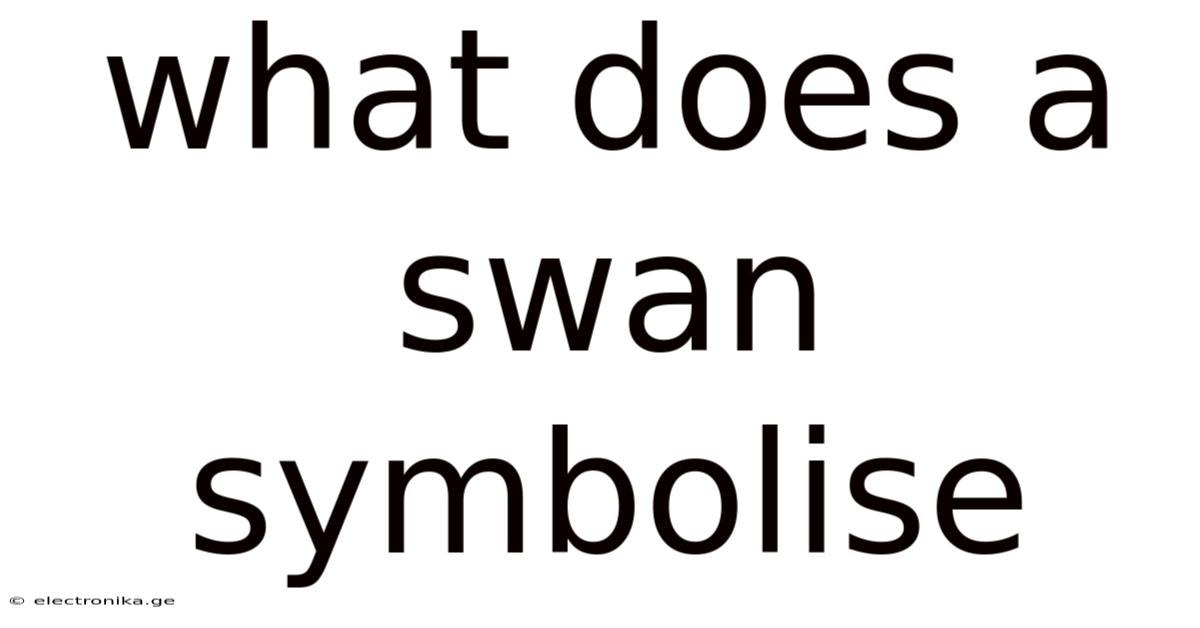 What Does A Swan Symbolise
