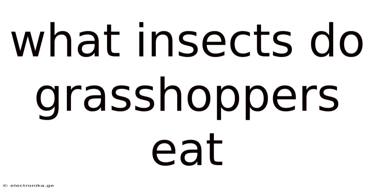What Insects Do Grasshoppers Eat