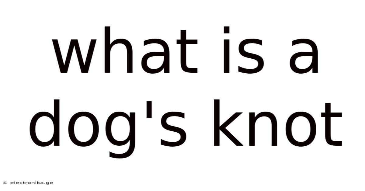 What Is A Dog's Knot