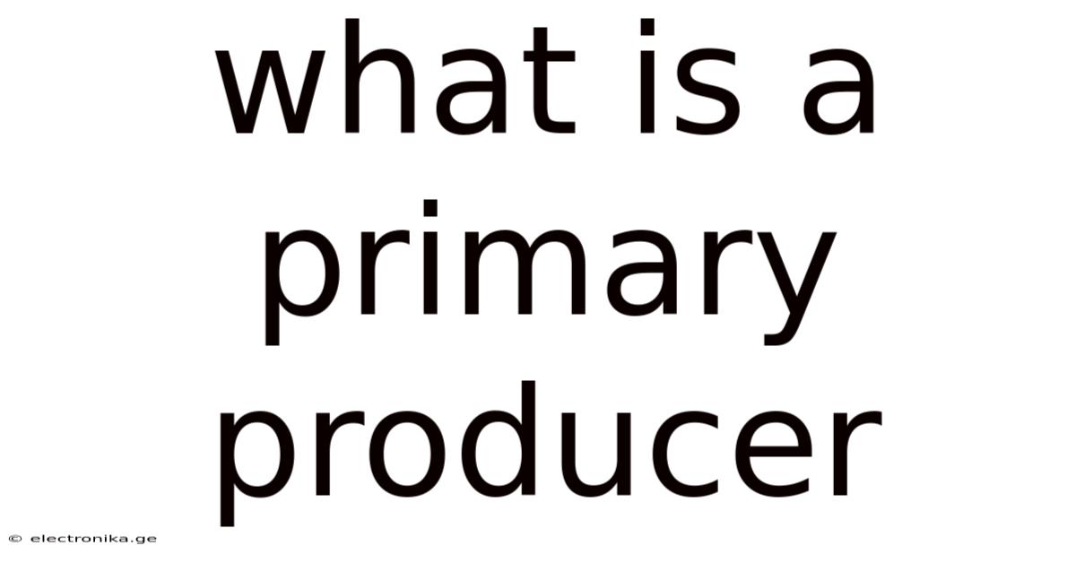 What Is A Primary Producer