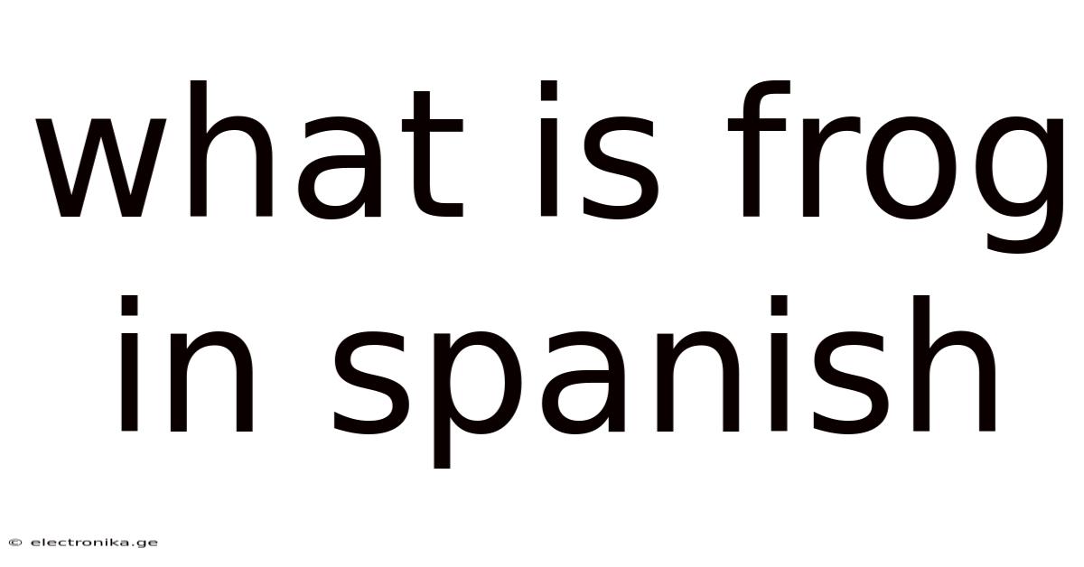 What Is Frog In Spanish