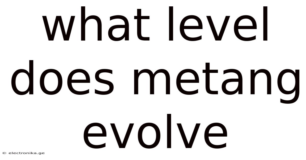 What Level Does Metang Evolve