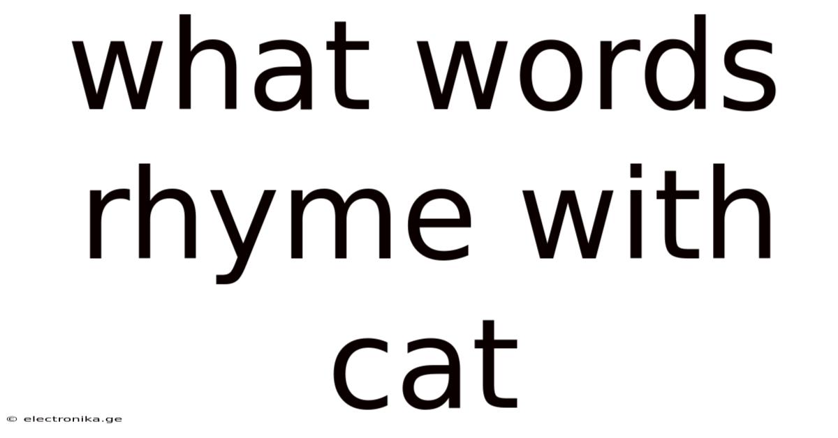 What Words Rhyme With Cat