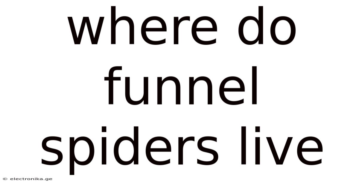 Where Do Funnel Spiders Live
