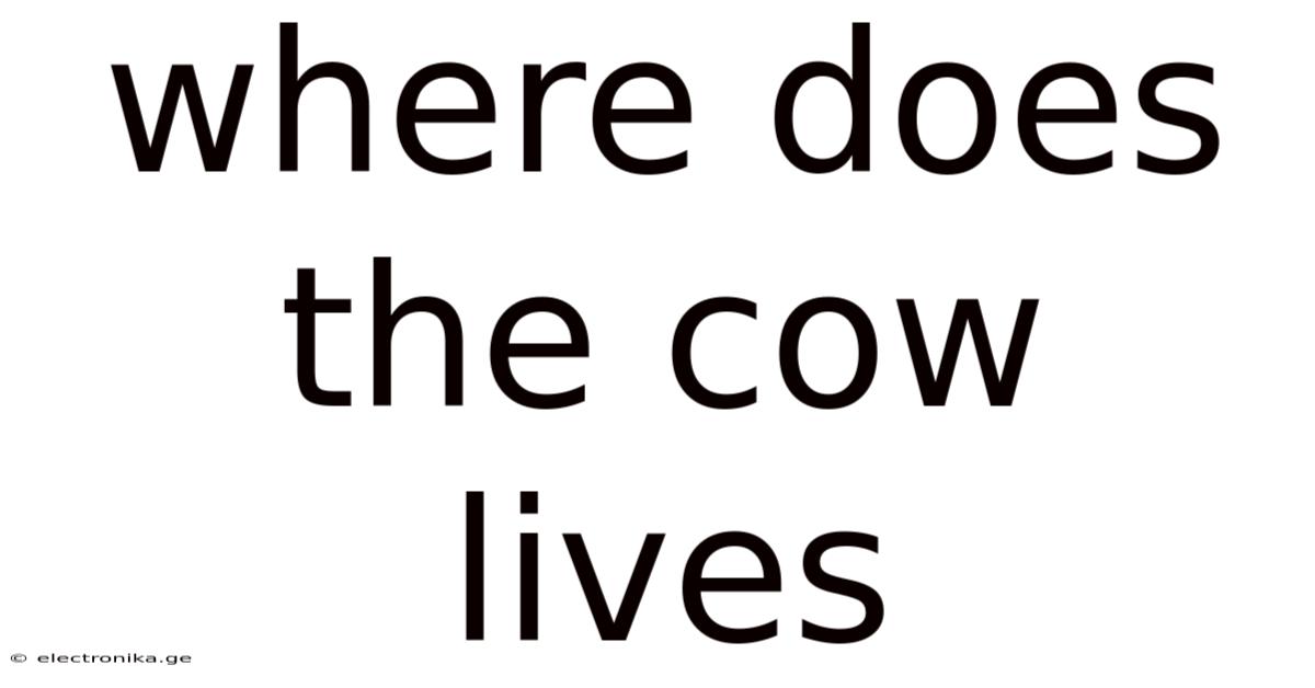 Where Does The Cow Lives