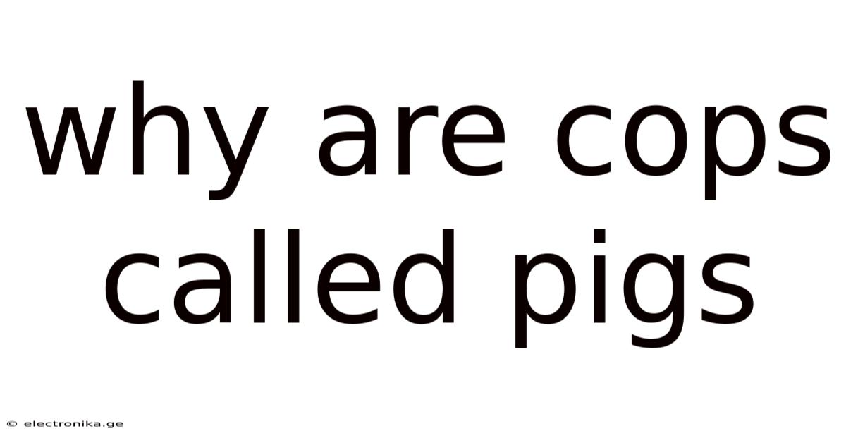 Why Are Cops Called Pigs
