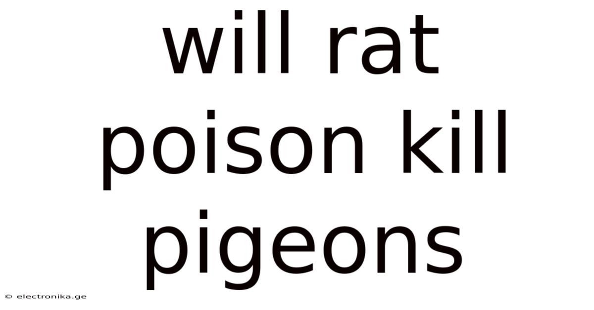 Will Rat Poison Kill Pigeons